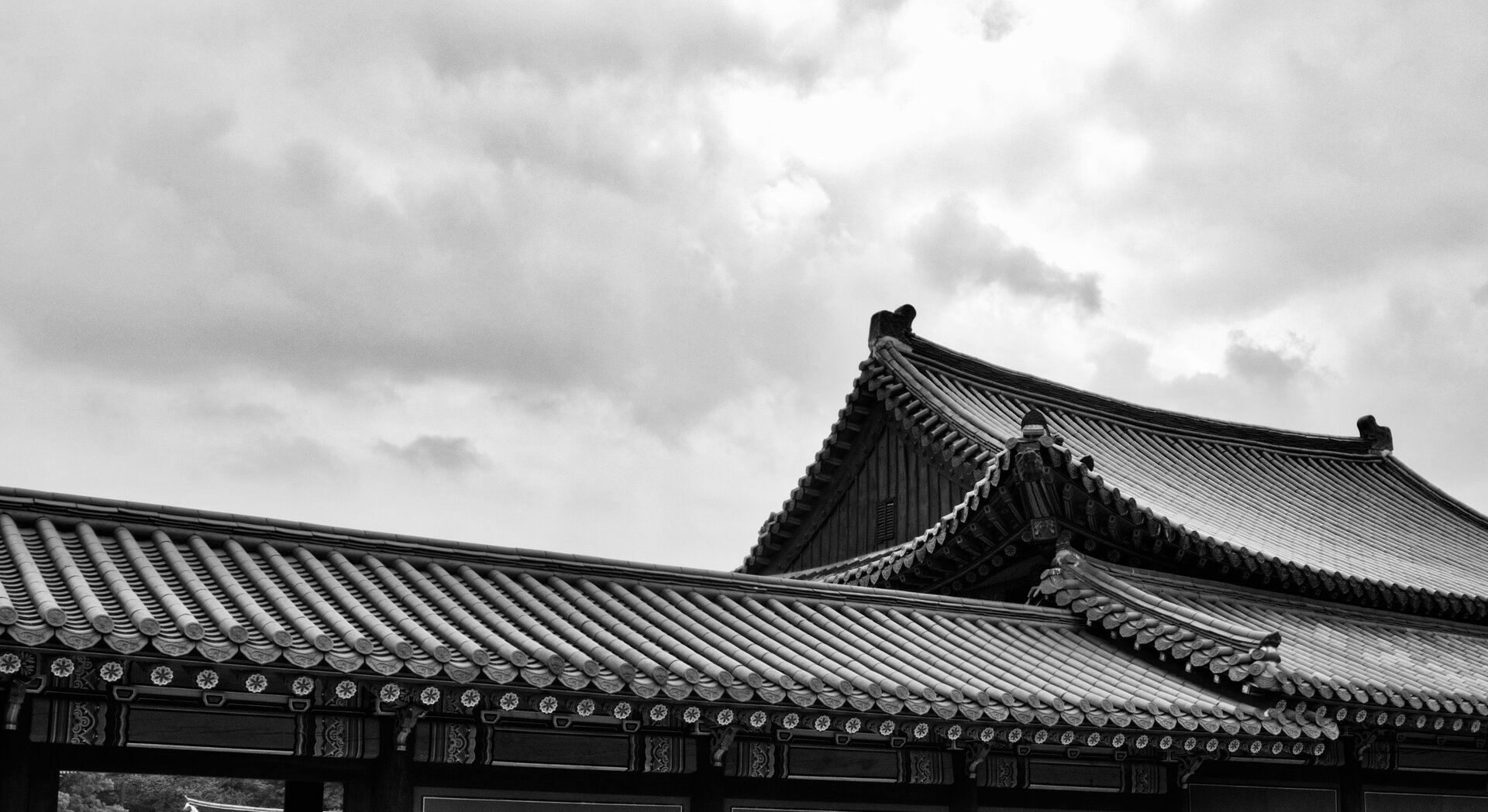 AdobeStock_276821355.jpeg